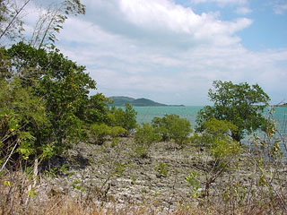 070303_Nagarao_Island_035-320